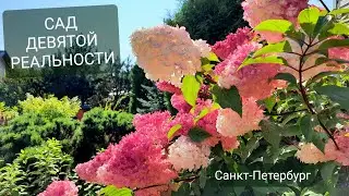 Вечерняя прогулка по саду Девятой реальности🌾 Мой главный помощник🌾Последние дни лета🌾