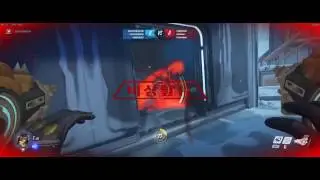 Overwatch D.VA bug