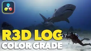 R3D Underwater Color Grading in DaVinci Resolve // Nikon ZR