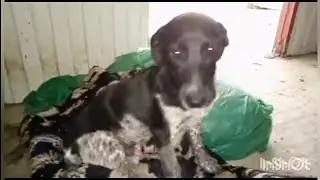прошу о помощи ( смотреть до конца )