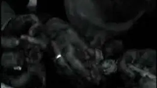STORMLORD - I Am Legend