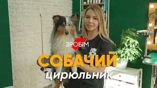 Бросила работу в IT, чтобы стричь собак 