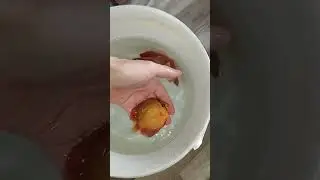 Отправка Дискусов в Москву. Красно-коричневый туркис 