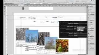 Фильтр Adobe Muse. Модуль 4 в 1. Настройка. Финиш