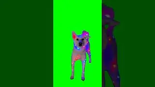 Christmas Dog Meme Green Screen 