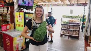 MIAMI TRAVEL GUIDE: NEXT DESTINATION EPISODE 7