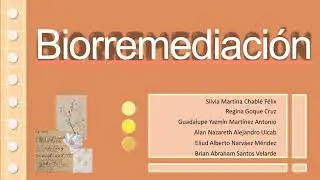 Técnicas de biorremediacion 🔬 ¿Que es la biorremediacion y para que sirve? | Biotecnología ☘️