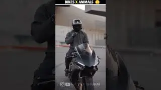 Bikes imagine in Animals🐅🏍️💥||Voice Of Dharani ||