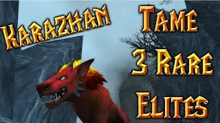 How To Tame 3 Rare Elites from Karazhan - Rokad, Hyakiss, & Shadikith - Patch 8.3 | Warcraft 2020
