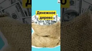 22 июня 2024 г.