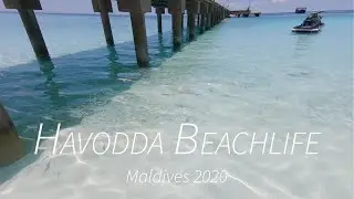Havodda Beachlife