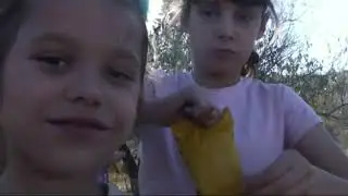 Хороший выдался денек