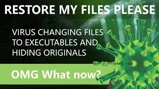 Repair or restore - VIRUS CHANGING FILES AND FOLDERS TO .EXE (executable extensions)