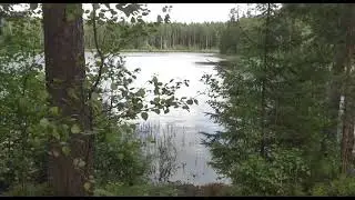 Мысли психолога. О токсичности усвоенной установки «Будь совершенным»