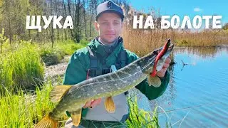 Поиск щуки весной по малым озёрам! Резина, воблер или железо?