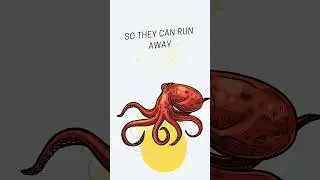 fun facts #trending #viral #youtubeshorts
