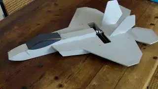 FT Mighty Mini F - 22