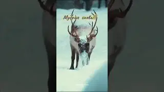 24 октября 2023 г.