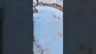 Low Budget Attack on Titan - Battle of Smalltown pt. 1. #shorts