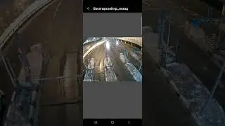 ЗСД САНКТ-ПЕТЕРБУРГ