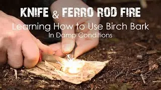 Starting A Fire With Knife, Ferro Rod & Birch Bark In Damp Conditions | Bushcraft & Survival Skills!