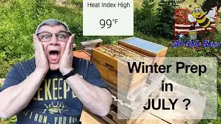 Start Winter Hive Prep in Summer