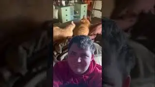 Green screen short test