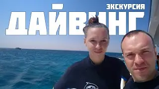 Дайвинг в Египте. Все что нужно знать. Обзор экскурсии в Хургаде от А до Я!