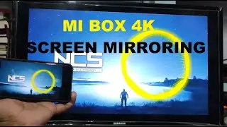 Mi Box 4K Casting Problem