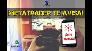 Cómo poner alarma de Metatrader 4 en tu teléfono (android o iphone) | Winpips