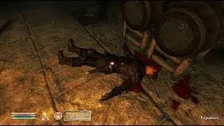TES IV Oblivion #82 Утраченные истории