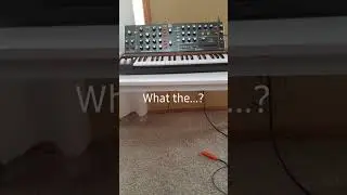 Behringer Poly D