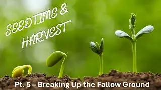Seedtime & Harvest: Part 5 // Breaking Up The Fallow Ground