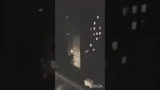 Советский аномальский фонд Стран СССР #палочник #Советский_Аномальский_фонд_стран_ссср #B45