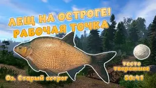 Русская рыбалка 4 - ЛЕЩА СМОЖЕТ ЗАКРЫТЬ КАЖДЫЙ! НОВАЯ ТОЧКА! Оз. Старый острог!