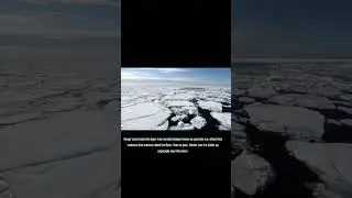 How Sea Ice Forms, 