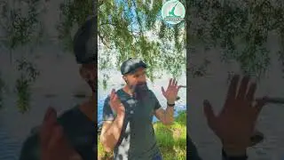 Как начать заниматься Здоровьем