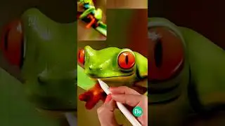 Realistic Frog Painting 