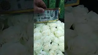 flowers gift idea #shorts #flowers #bouquet #flowerbouquet #gift #giftideas #nature #natural #yt