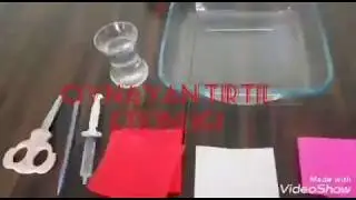 Oynayan Tırtıl Etkinliği