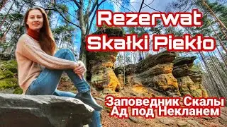 ЧУДО природы Польши - Лесные Скалы "Ад под Некланем". Заповедник