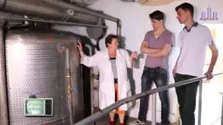 Хорошие новости (выпуск №27 от 06.08.2015)