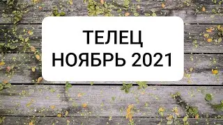 ТЕЛЕЦ. НОЯБРЬ 2021 г.