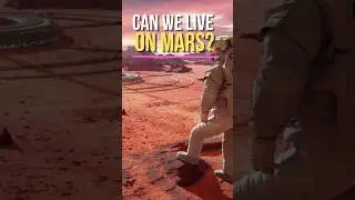 Surviving the Red Planet: Is Mars Livable? 
