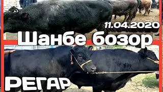 Мол бозори Регар шанбе бозор / Нархои бука ва гови ширте , гусалахои нару мода 11.04.2020