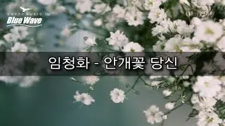 🎧 Sop' 임청화 - 안개꽃 당신ㅣ