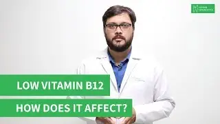 Who can get Vitamin B12 Deficiency? | Humain Diagnostics