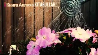 Лучший нашид! Ya laytel werdi   Muhammad Al Muqit