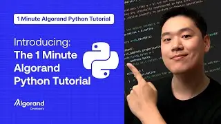 Introducing the 1 Minute Algorand Python Tutorial!