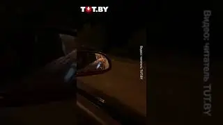 Гомель. Цепь солидарности